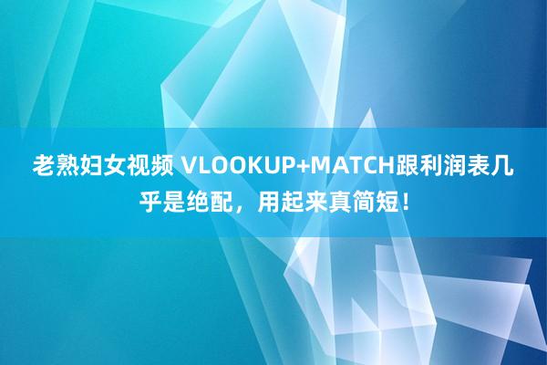 老熟妇女视频 VLOOKUP+MATCH跟利润表几乎是绝配，用起来真简短！